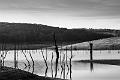 2018_11_04_Lac de Panneciere (0047)